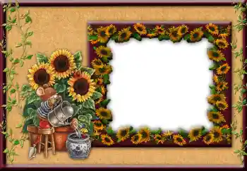 Efecto de fotos de la categoría Otros № 12849