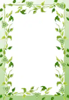 Efecto de fotos de la categoría Otros № 128563