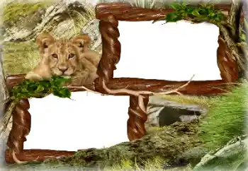 Efecto de fotos de la categoría Otros № 128637