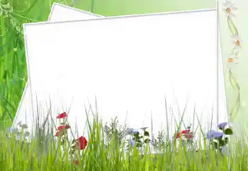 Efecto de fotos de la categoría Otros № 12902