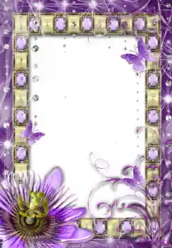 Efecto de fotos de la categoría Otros № 12917