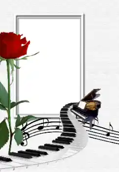 Efecto de fotos de la categoría Otros № 129802