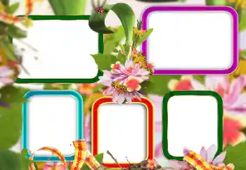 Efecto de fotos de la categoría Otros № 129813