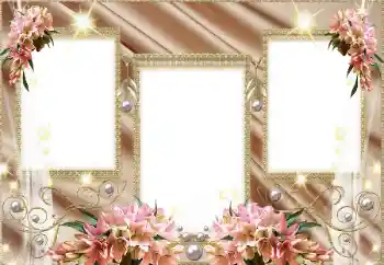 Efecto de fotos de la categoría Otros № 129866