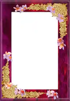 Efecto de fotos de la categoría Otros № 130133