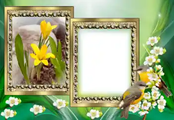 Efecto de fotos de la categoría Otros № 130649