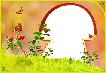 Efecto de fotos de la categoría Otros № 131022