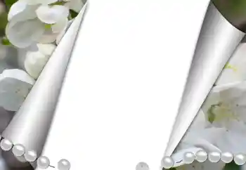 Efecto de fotos de la categoría Otros № 131361