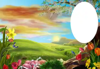 Efecto de fotos de la categoría Otros № 131534