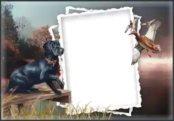 Efecto de fotos de la categoría Otros № 132874