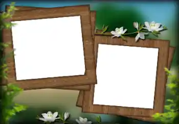 Efecto de fotos de la categoría Otros № 132936