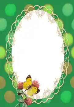 Efecto de fotos de la categoría Otros № 132991