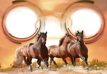 Efecto de fotos de la categoría Otros № 133286