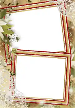 Efecto de fotos de la categoría Otros № 133295