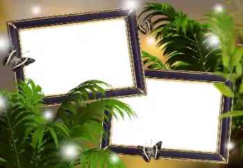 Efecto de fotos de la categoría Otros № 133299