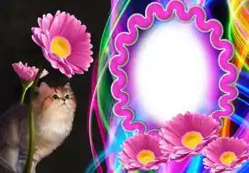 Efecto de fotos de la categoría Otros № 138543