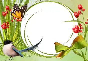 Efecto de fotos de la categoría Otros № 138546 Efecto de fotos de la categoría Otros № 138546