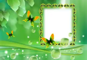 Efecto de fotos de la categoría Otros № 138569 Efecto de fotos de la categoría Otros № 138569