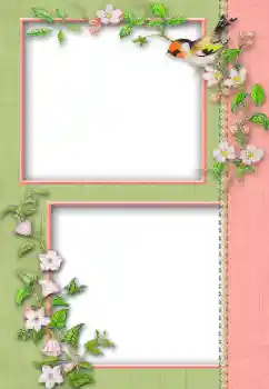 Efecto de fotos de la categoría Otros № 13930