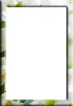 Efecto de fotos de la categoría Otros № 139730