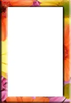 Efecto de fotos de la categoría Otros № 139744