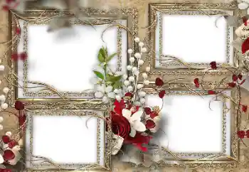 Efecto de fotos de la categoría Otros № 139751