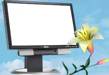 Efecto de fotos de la categoría Otros № 13988