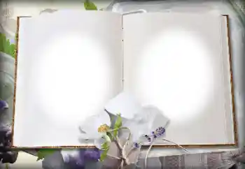 Efecto de fotos de la categoría Otros № 139914 Efecto de fotos de la categoría Otros № 139914