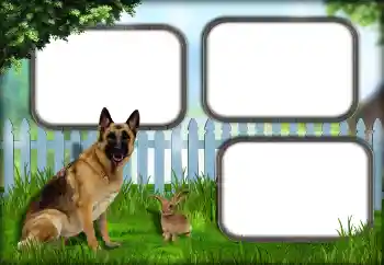 Efecto de fotos de la categoría Otros № 139921 Efecto de fotos de la categoría Otros № 139921