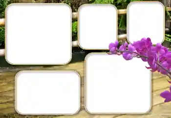 Efecto de fotos de la categoría Otros № 140964 Efecto de fotos de la categoría Otros № 140964