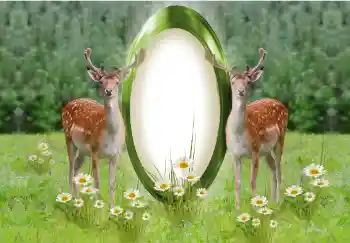 Efecto de fotos de la categoría Otros № 142259 Efecto de fotos de la categoría Otros № 142259