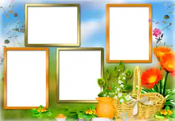 Efecto de fotos de la categoría Otros № 142328