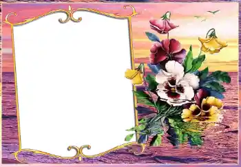 Efecto de fotos de la categoría Otros № 143511 Efecto de fotos de la categoría Otros № 143511