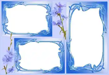 Efecto de fotos de la categoría Otros № 143549 Efecto de fotos de la categoría Otros № 143549