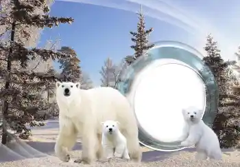 Efecto de fotos de la categoría Otros № 143683 Efecto de fotos de la categoría Otros № 143683