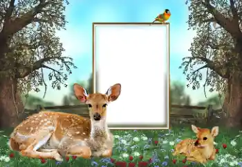 Efecto de fotos de la categoría Otros № 143762 Efecto de fotos de la categoría Otros № 143762