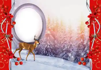 Efecto de fotos de la categoría Otros № 144845 Efecto de fotos de la categoría Otros № 144845