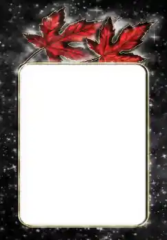 Efecto de fotos de la categoría Otros № 144867 Efecto de fotos de la categoría Otros № 144867