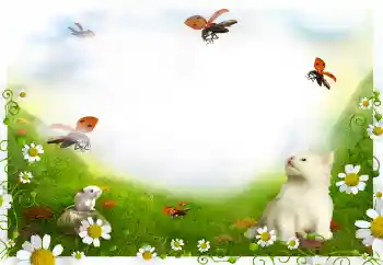 Efecto de fotos de la categoría Otros № 144908 Efecto de fotos de la categoría Otros № 144908