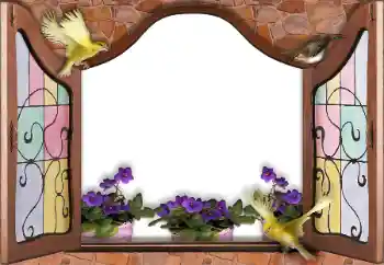 Efecto de fotos de la categoría Otros № 145186 Efecto de fotos de la categoría Otros № 145186