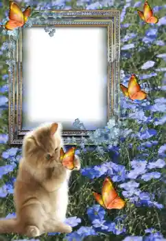 Efecto de fotos de la categoría Otros № 147609