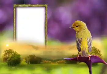 Efecto de fotos de la categoría Otros № 147660