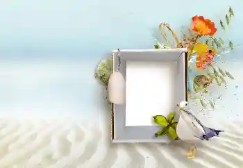 Efecto de fotos de la categoría Otros № 147890 Efecto de fotos de la categoría Otros № 147890