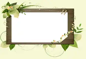 Efecto de fotos de la categoría Otros № 14896