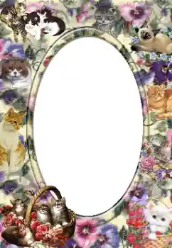 Efecto de fotos de la categoría Otros № 14919