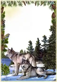 Efecto de fotos de la categoría Otros № 149260 Efecto de fotos de la categoría Otros № 149260