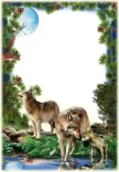 Efecto de fotos de la categoría Otros № 149261 Efecto de fotos de la categoría Otros № 149261