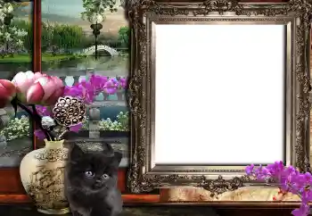 Efecto de fotos de la categoría Otros № 149361 Efecto de fotos de la categoría Otros № 149361