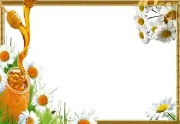 Efecto de fotos de la categoría Otros № 14966