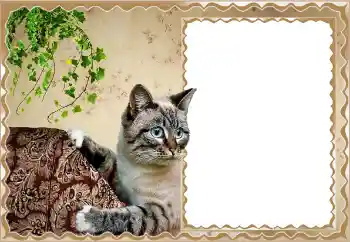 Efecto de fotos de la categoría Otros № 150513 Efecto de fotos de la categoría Otros № 150513